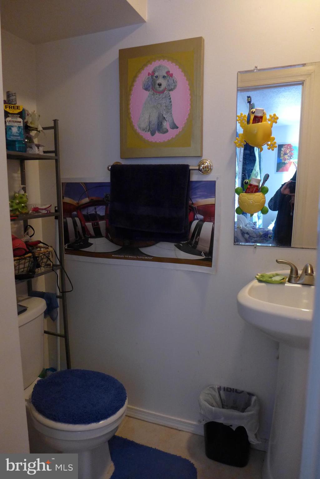 2357 Southgate Square Reston, VA 20191 - Photo 15 of 32 Powder room