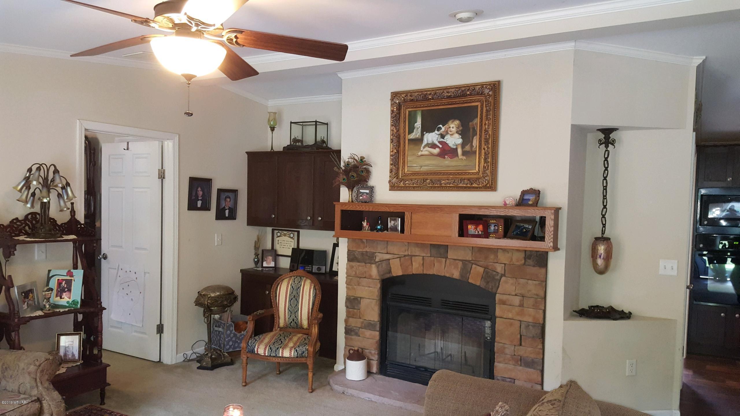 2277 Arnot Road Wellsboro, PA 16901 - Photo 2 of 24 fireplace