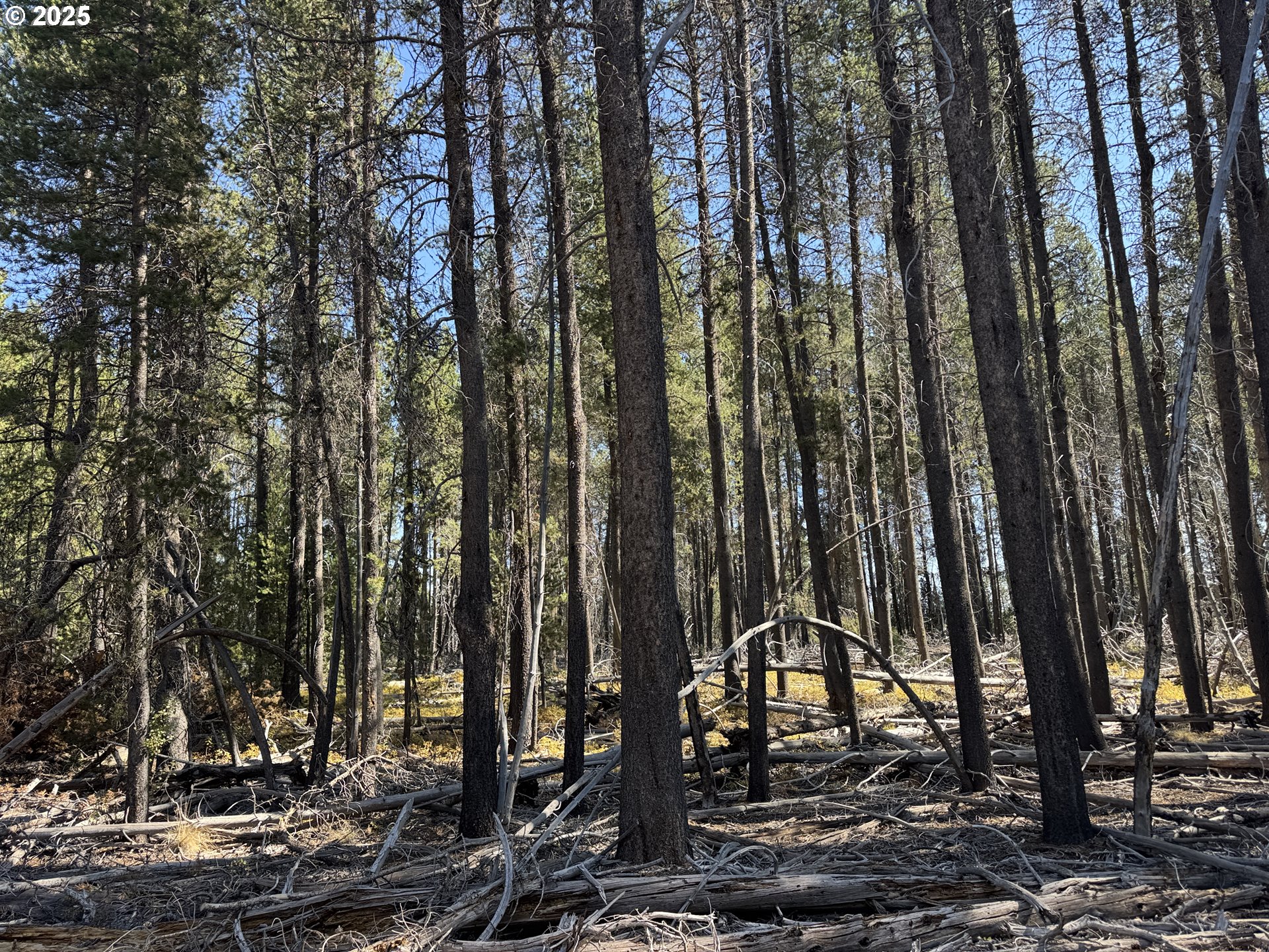 Cloudcap Drive, Unit 6 Chiloquin, OR 97624 - Photo 2 of 27