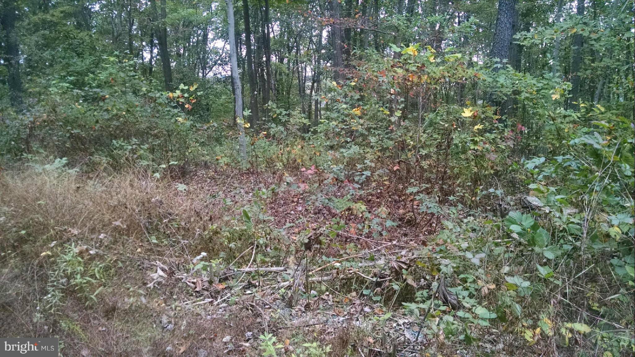 5 Quarry Road Delta, PA 17314 - Photo 3 of 3 View