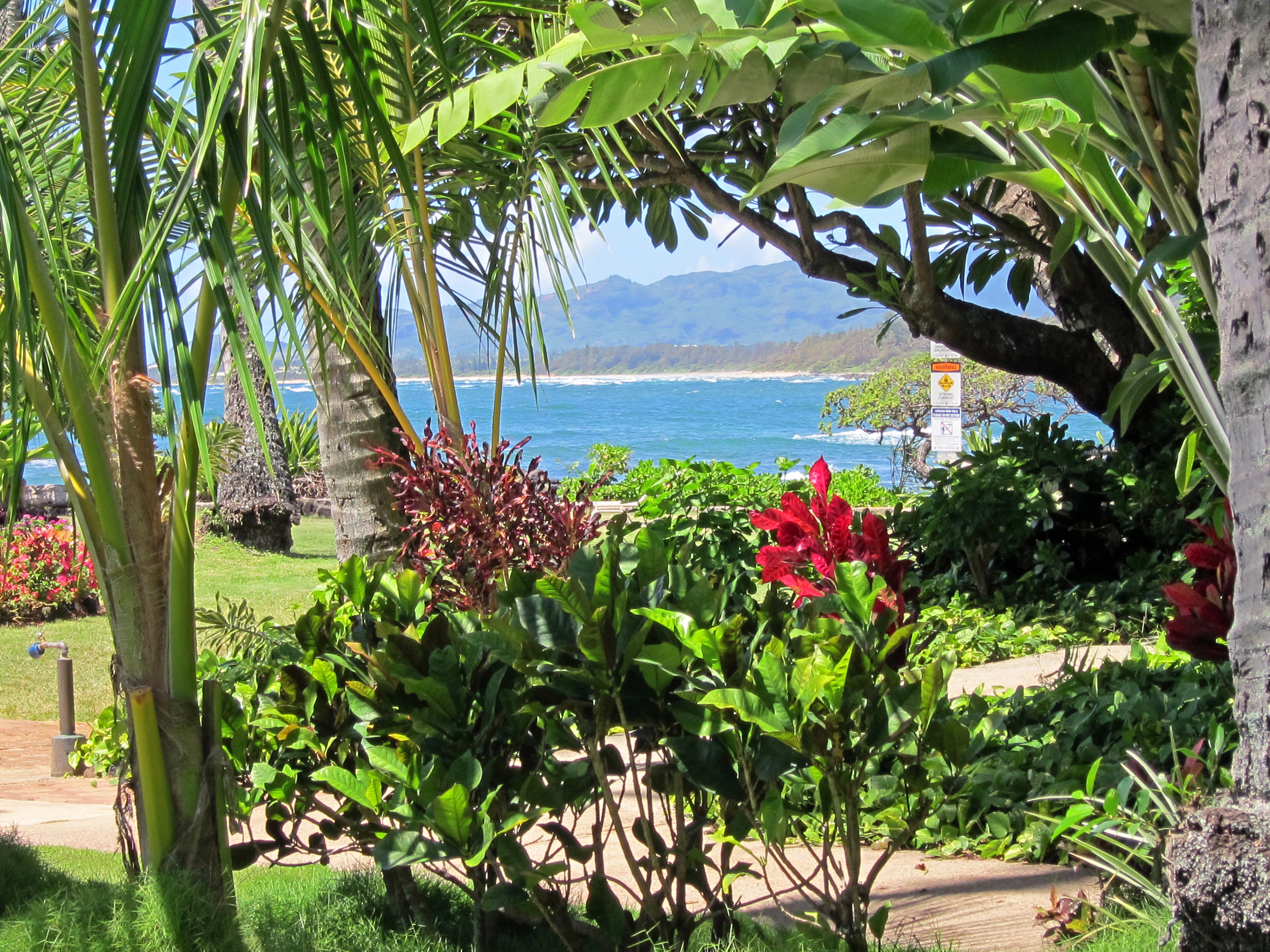 410 Papaloa Road, Unit 211 Kapaa, HI 96746 - Photo 2 of 25
