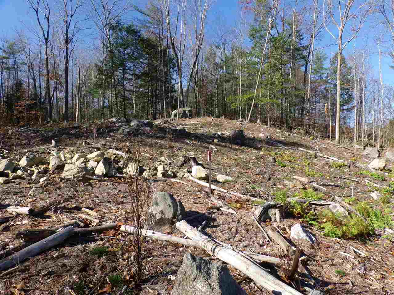 0 Crystal Lake Road Gilmanton, NH 03237 - Photo 17 of 33