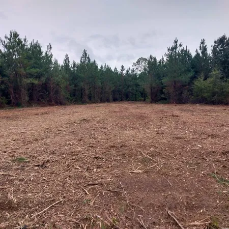 $57,000 | Lot 7-8 Harper Road, Marion, SC 29571