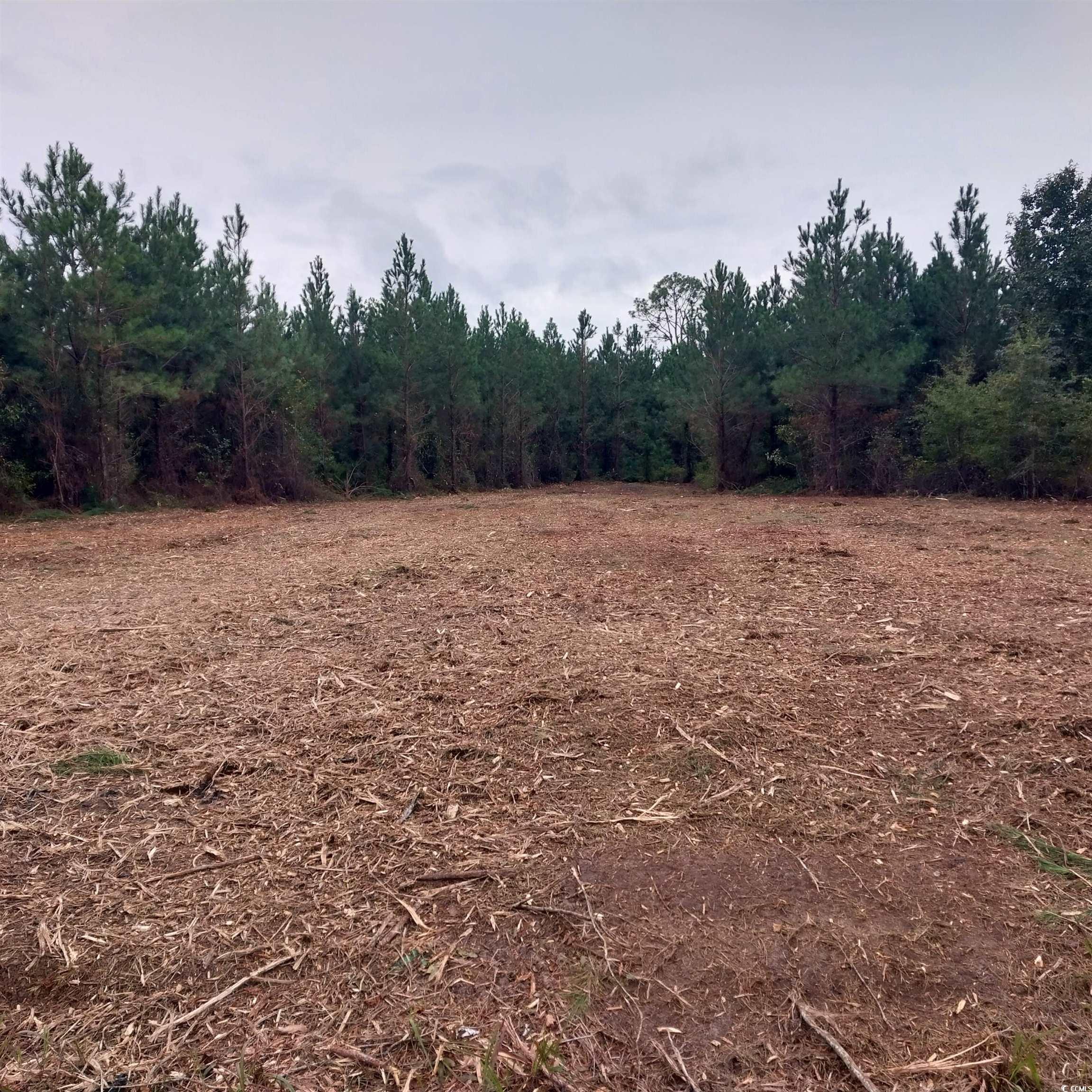 Lot 7-8 Harper Road Marion, SC 29571 - Photo 2 of 4