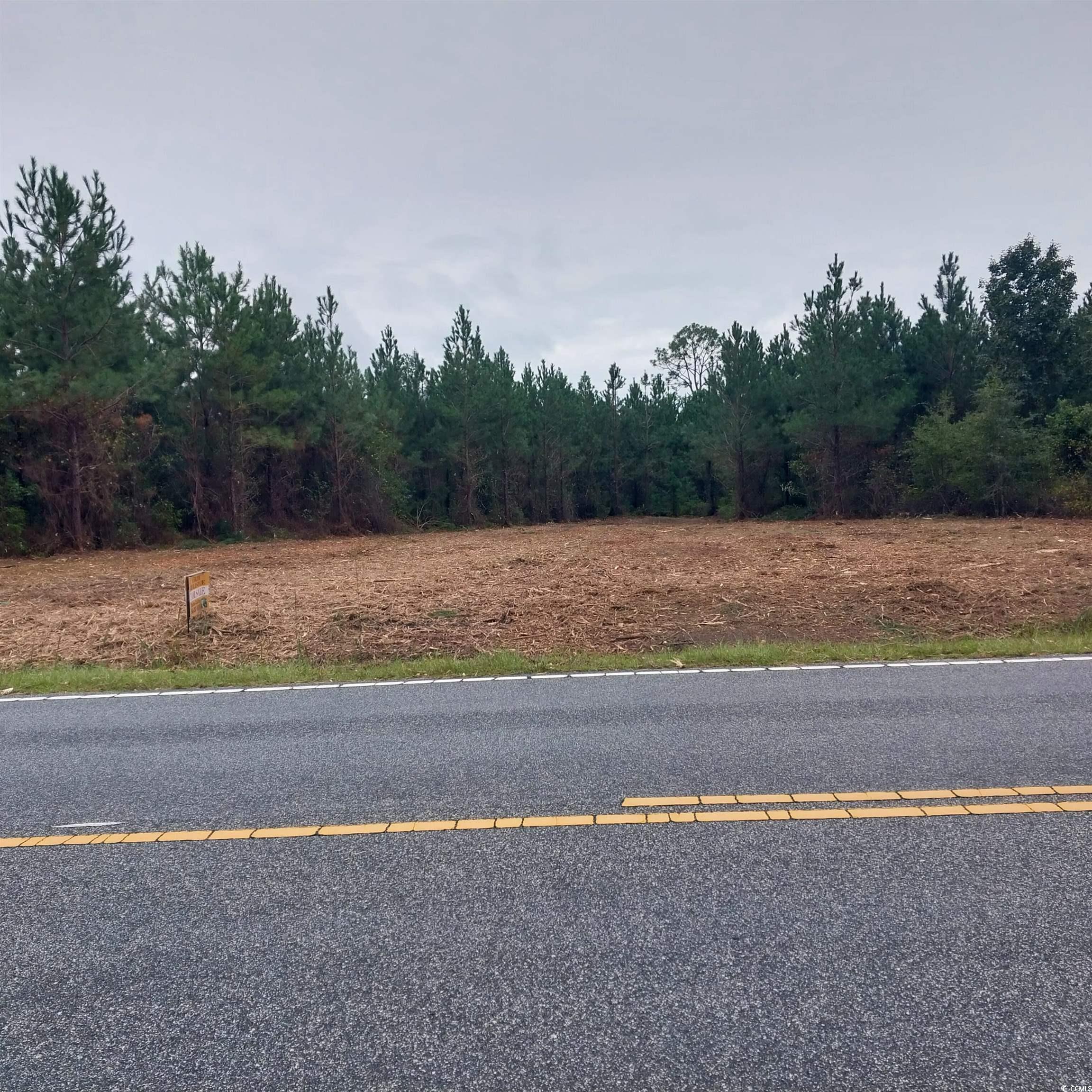 Lot 7-8 Harper Road Marion, SC 29571 - Photo 4 of 4