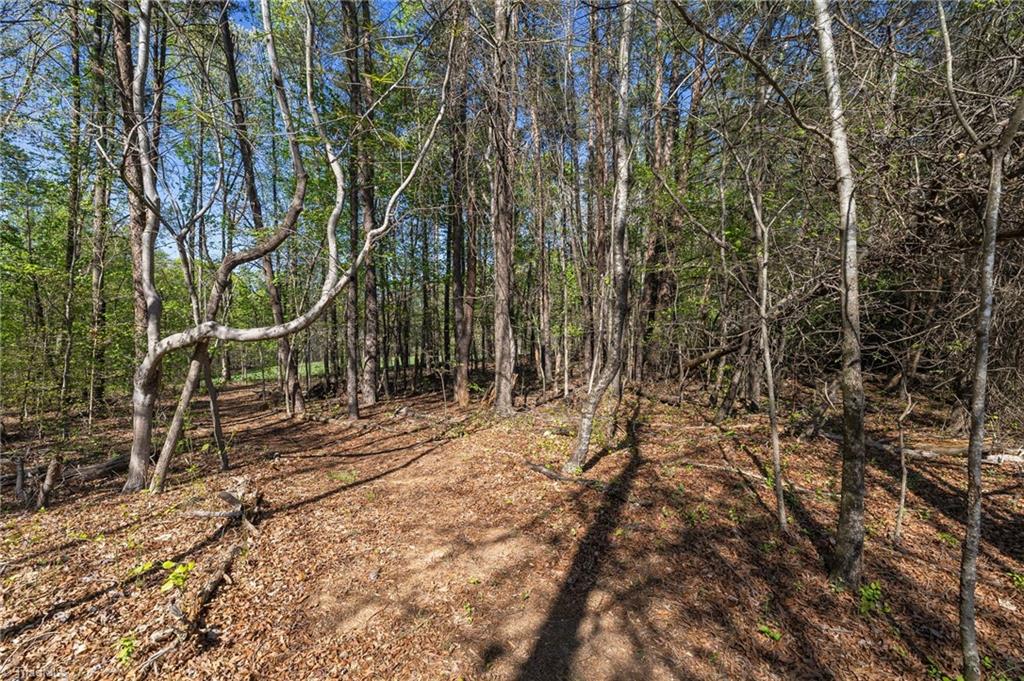 129 Kidd Road Colfax, NC 27235 - Photo 38 of 45 Wooded Trail