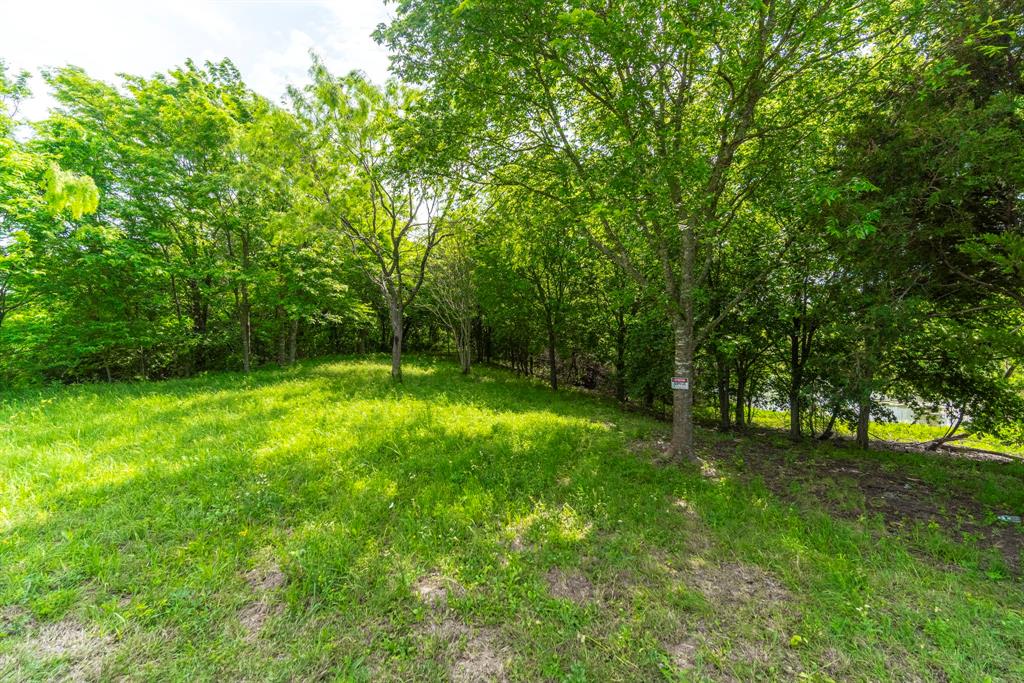 1401 East Campus Road Palmer, TX 75152 - Photo 19 of 21