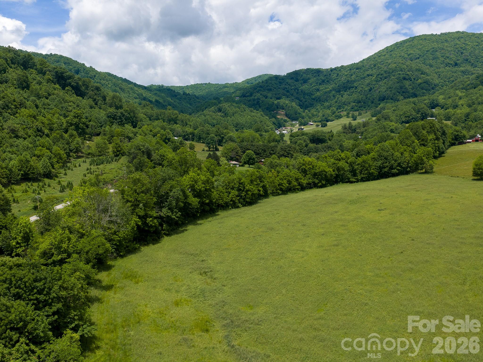 0 Sallys Branch Road Clyde, NC 28721 - Photo 3 of 22