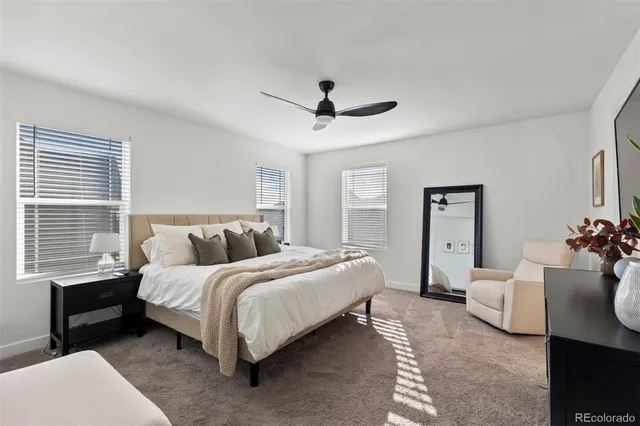 a bedroom with a bed couch and windows