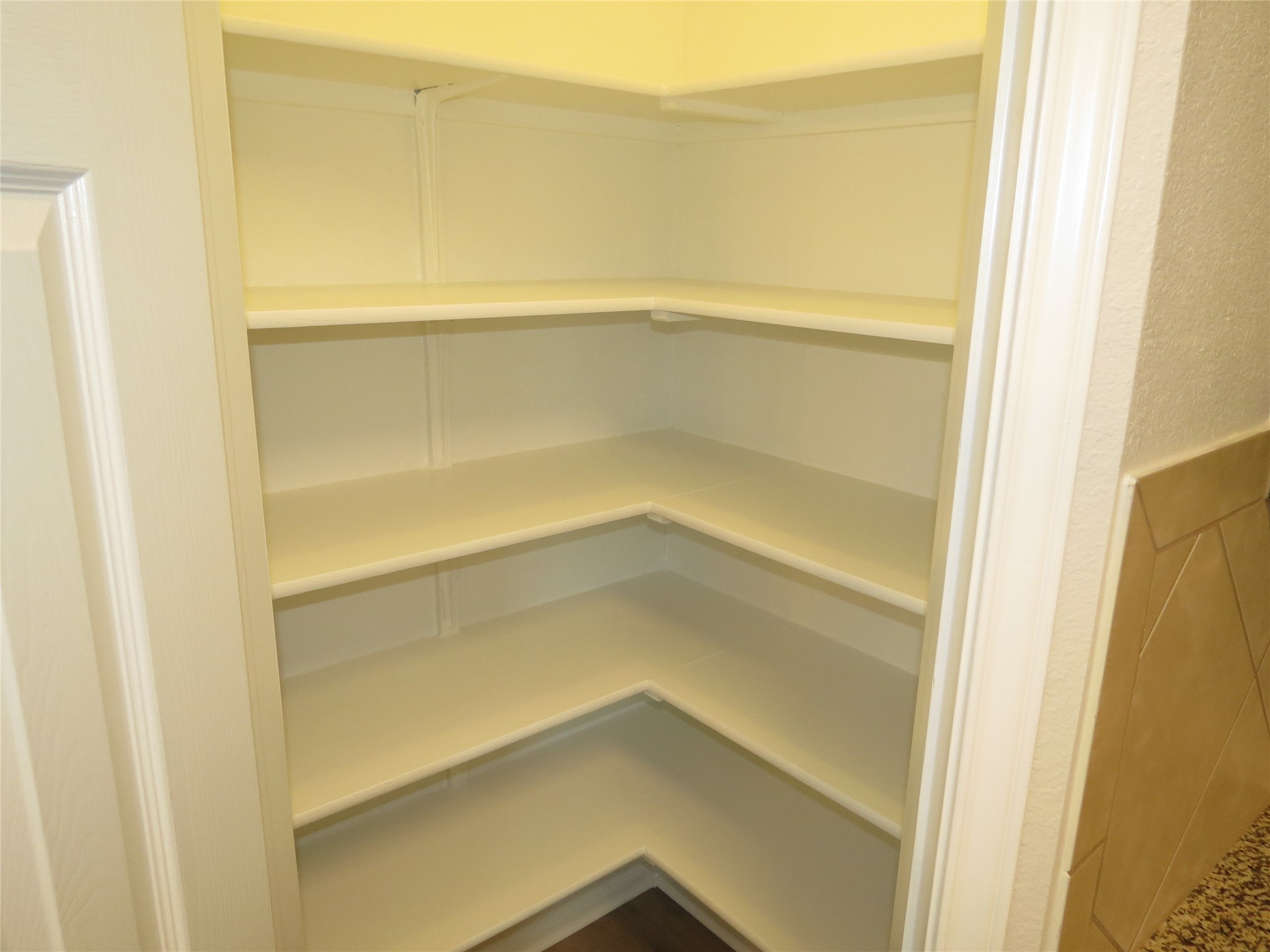 375 Musgrav Kyle, TX 78640 - Photo 11 of 31 Ample built-in shelving provides generous storage within this bright pantry.