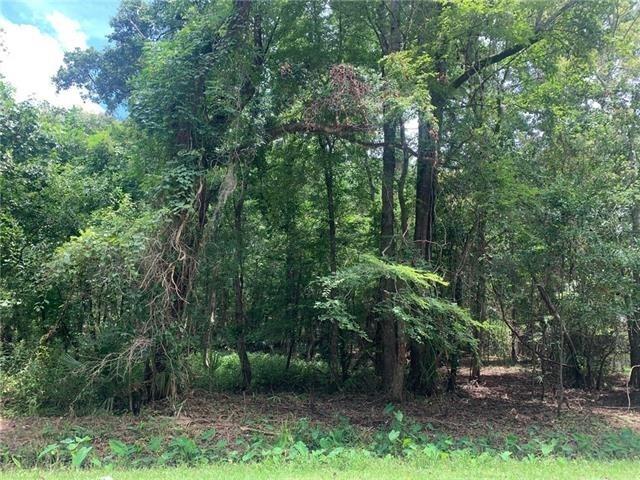 Lot 8 Penns Chapel Road Mandeville, LA 70471 - Photo 2 of 3