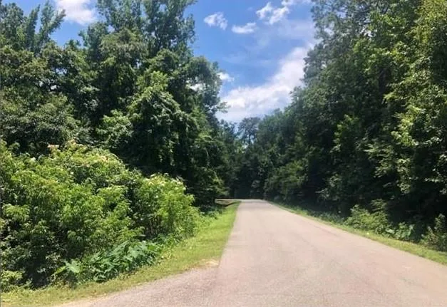 $126,500 | Lot 8 Penns Chapel Road, Mandeville, LA 70471