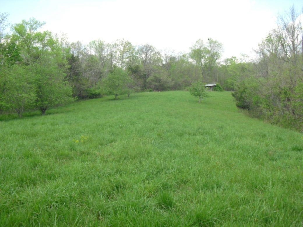 800 William K Smith Road Edmonton, KY 42129 - Photo 36 of 74 Gallery Image 36