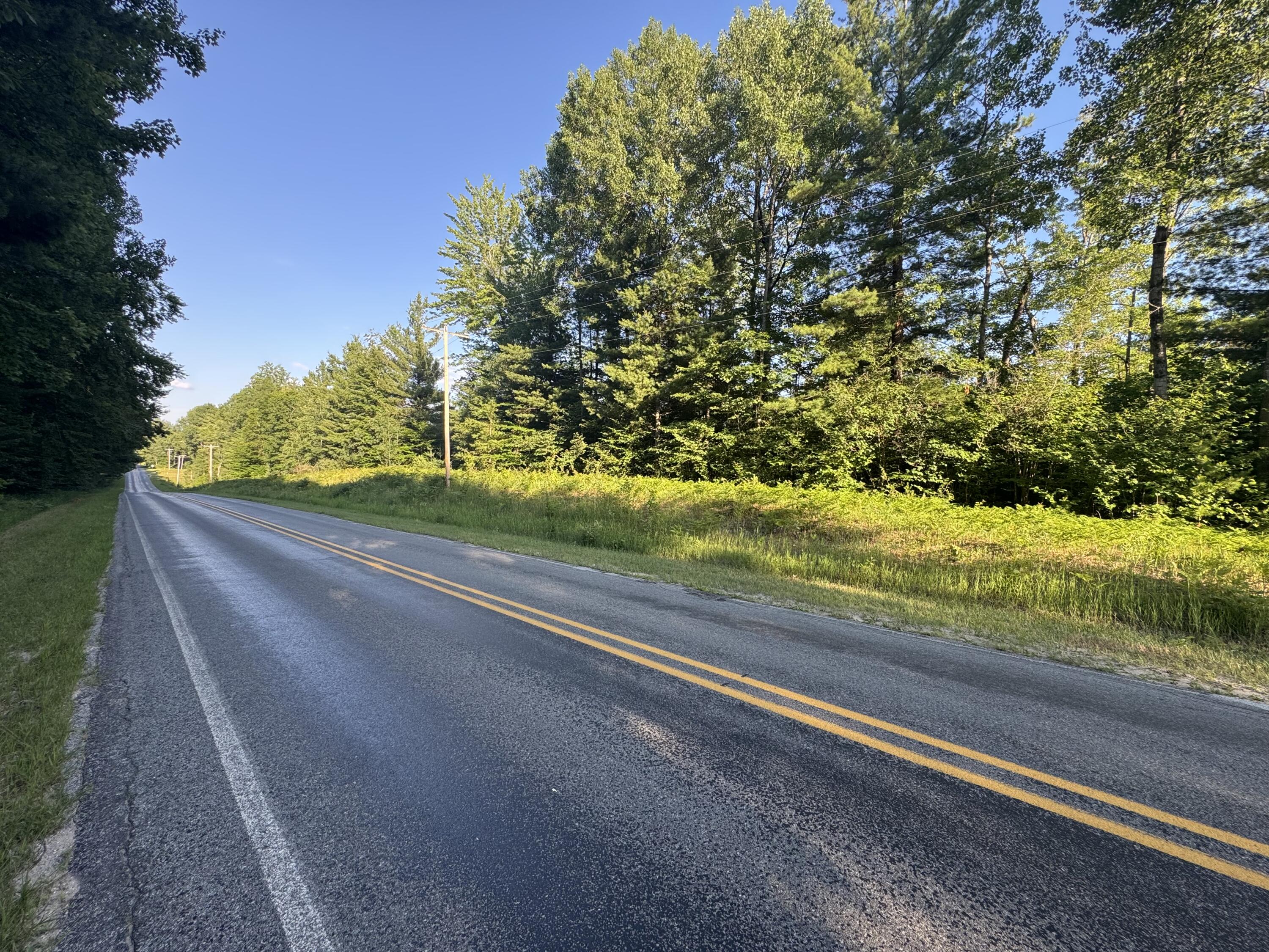 8 East 8 Mile Road Tustin, MI 49688 - Photo 5 of 6 road 3