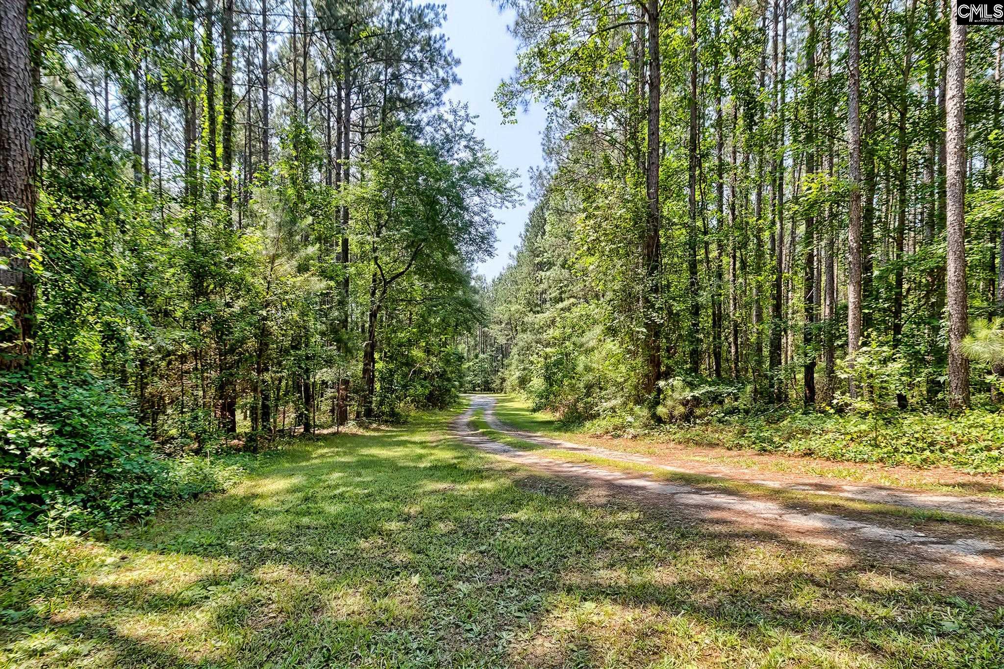 6268 Hope Road Winnsboro, SC 29180 - Photo 60 of 61