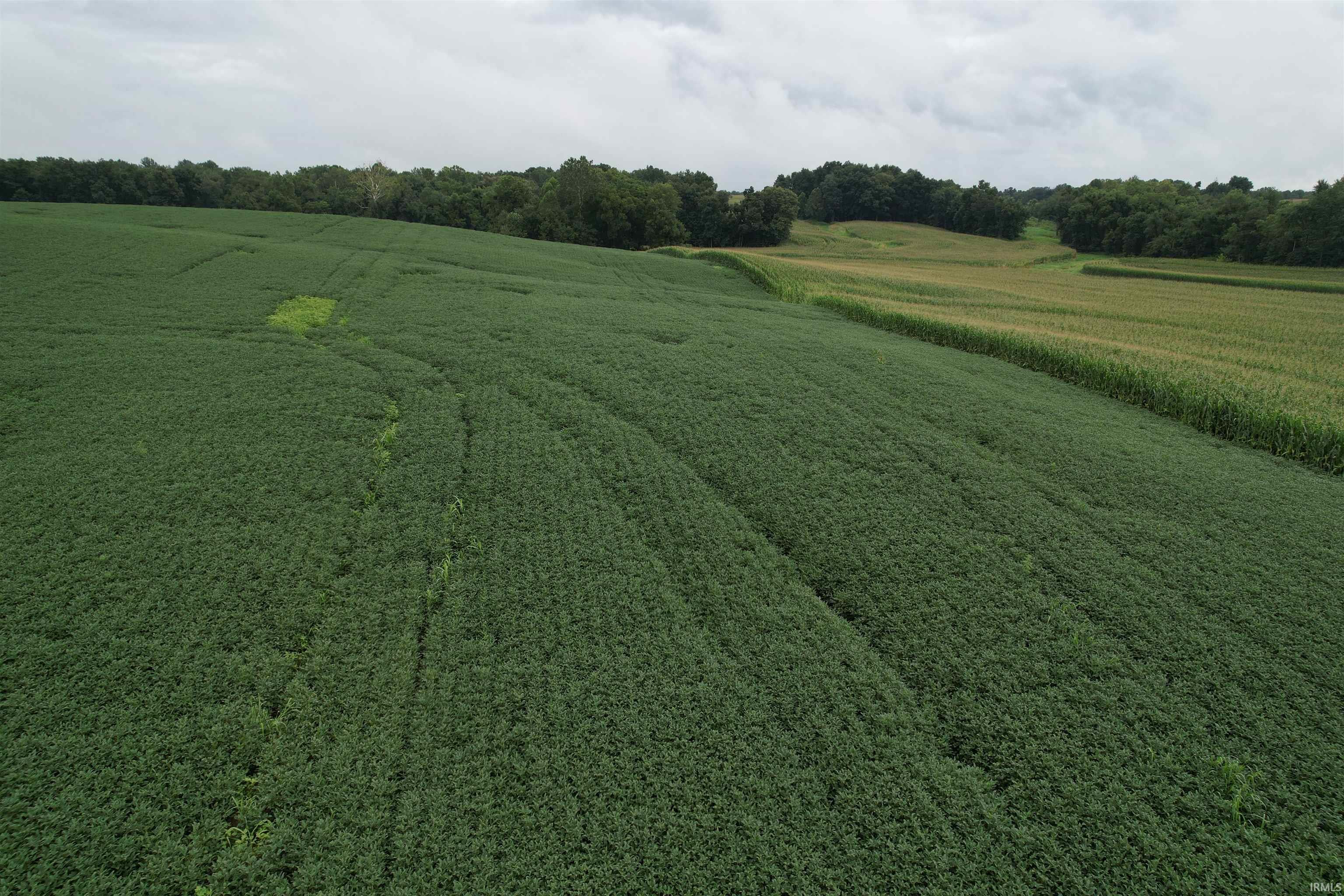 231 Highway Loogootee In 47553 Loogootee, IN 47553 - Photo 2 of 5