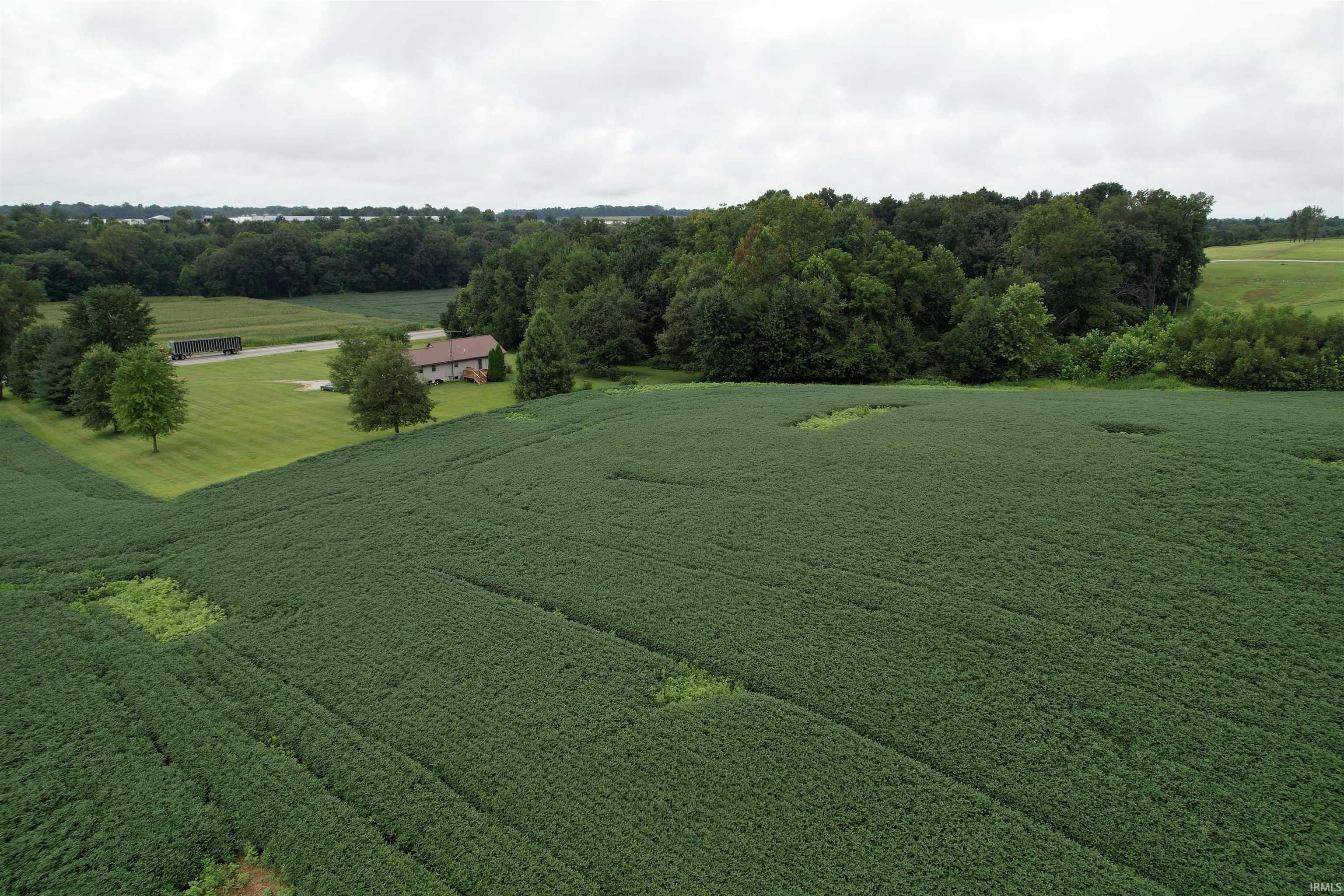 231 Highway Loogootee In 47553 Loogootee, IN 47553 - Photo 3 of 5