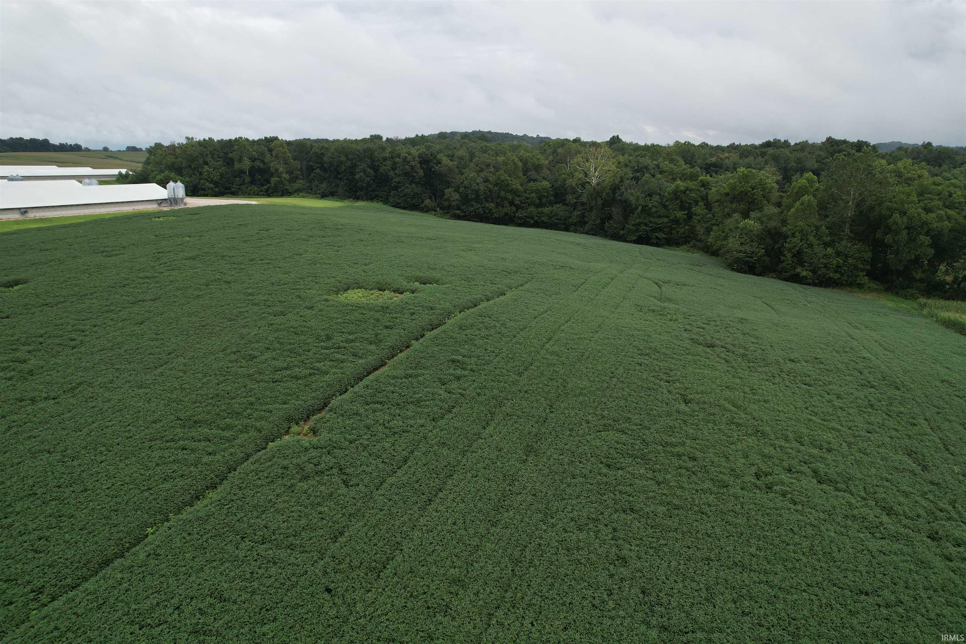 231 Highway Loogootee In 47553 Loogootee, IN 47553 - Photo 4 of 5