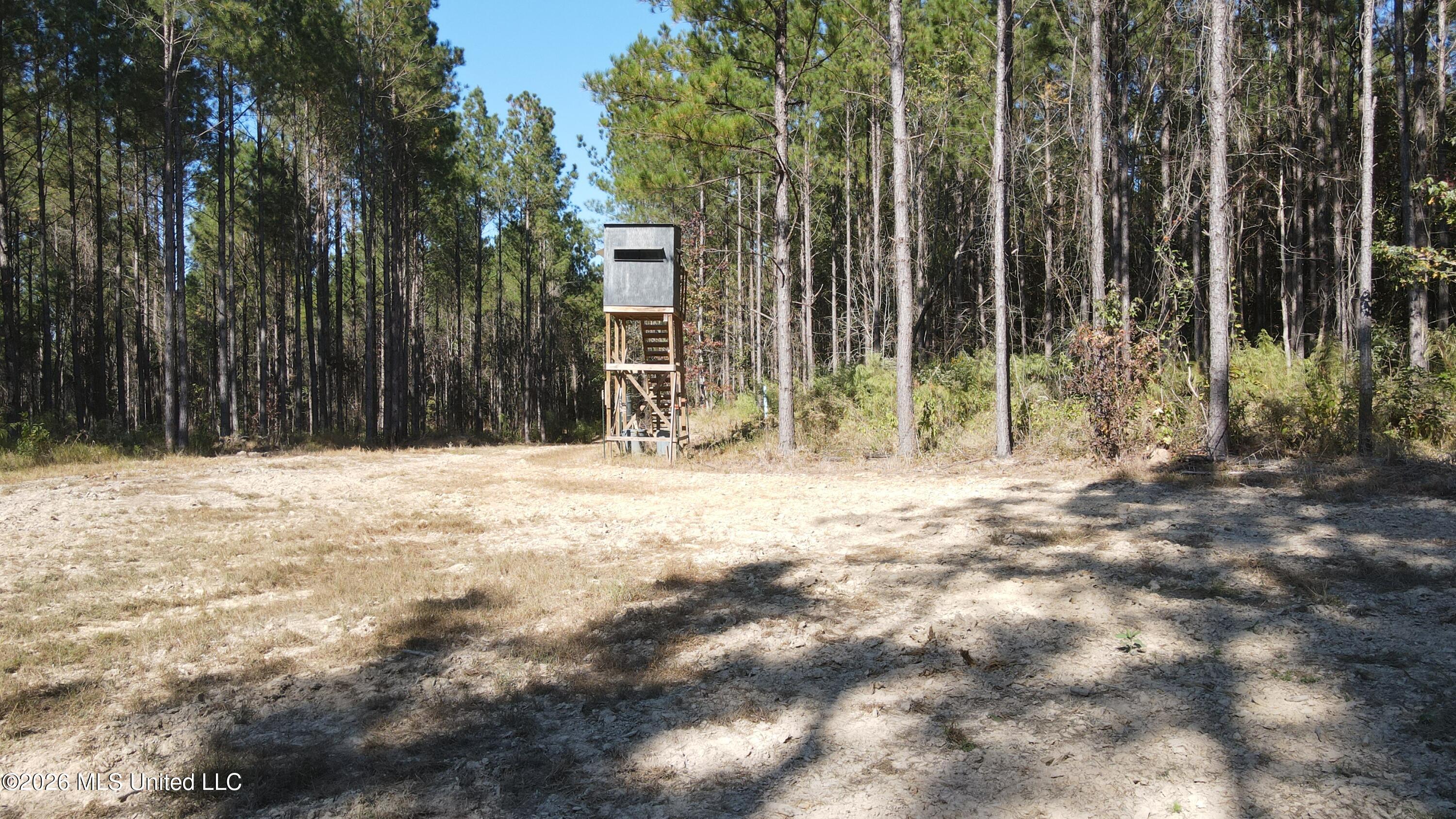 Loyd Irby Road Pelahatchie, MS 39145 - Photo 18 of 30 DJI_0218