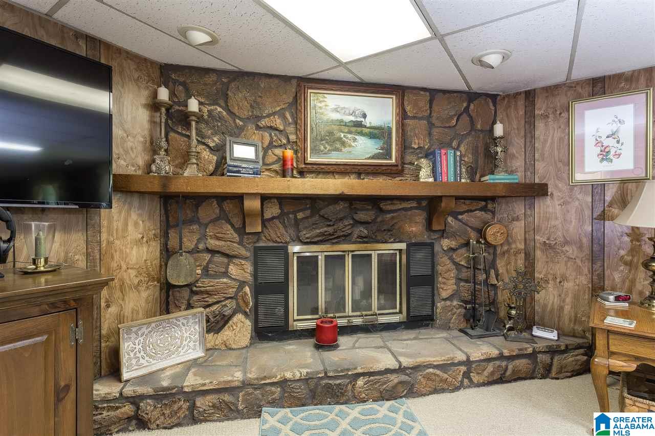 881 Douglas Lane Oneonta, AL 35121 - Photo 3 of 27