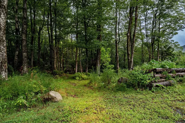 $360,000 | 231 Bergrucken Lane, Unit 121122, Readsboro, VT 05350