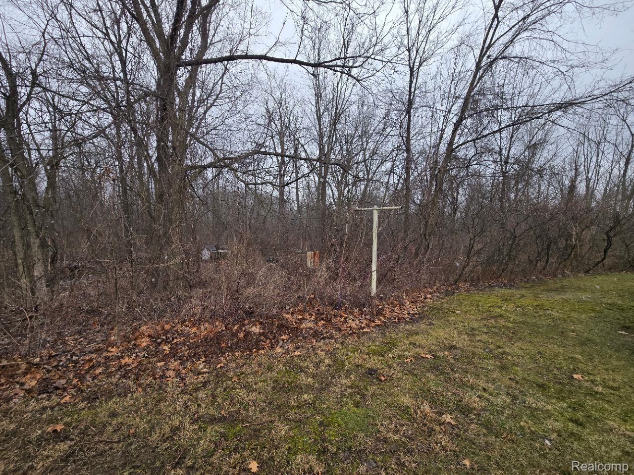 14565 Sharon Hollow Road Manchester, MI 48158 - Photo 5 of 5 Gallery Image 5