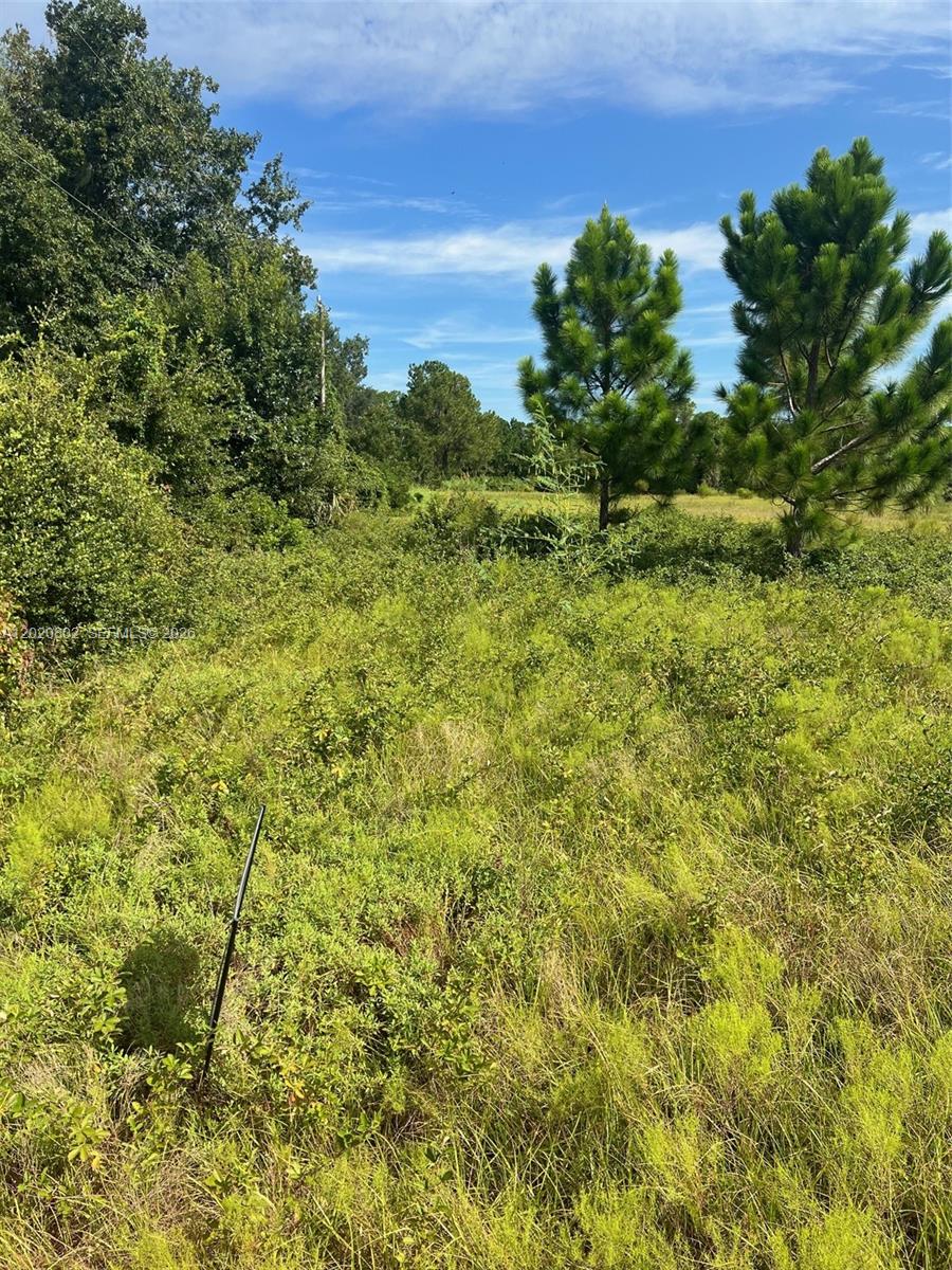 Huntington Shortcut Road Crescent City, FL 32112 - Photo 2 of 6 Photo 2