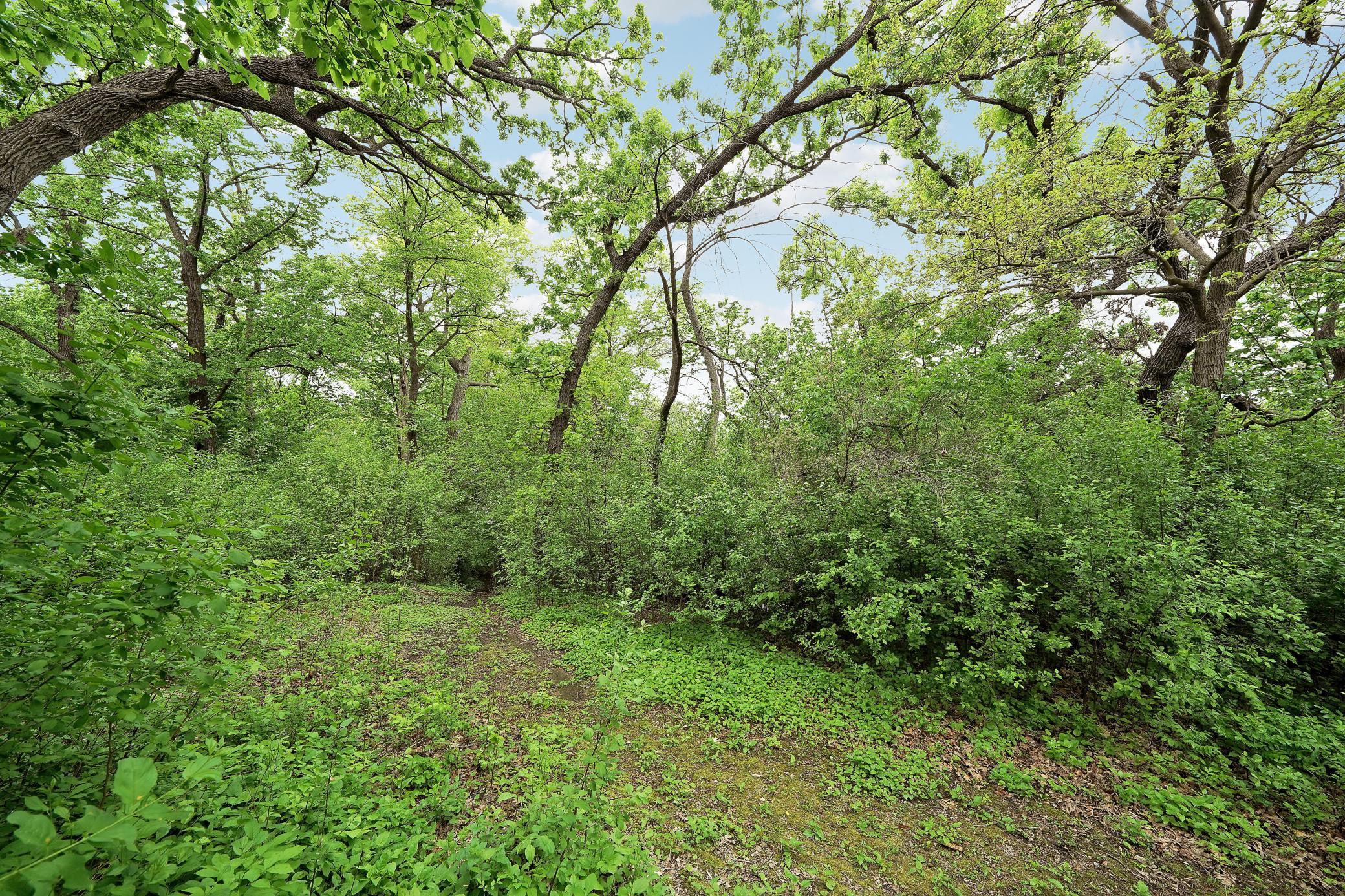 4936 Shady Oak Road Minnetonka, MN 55343 - Photo 14 of 16