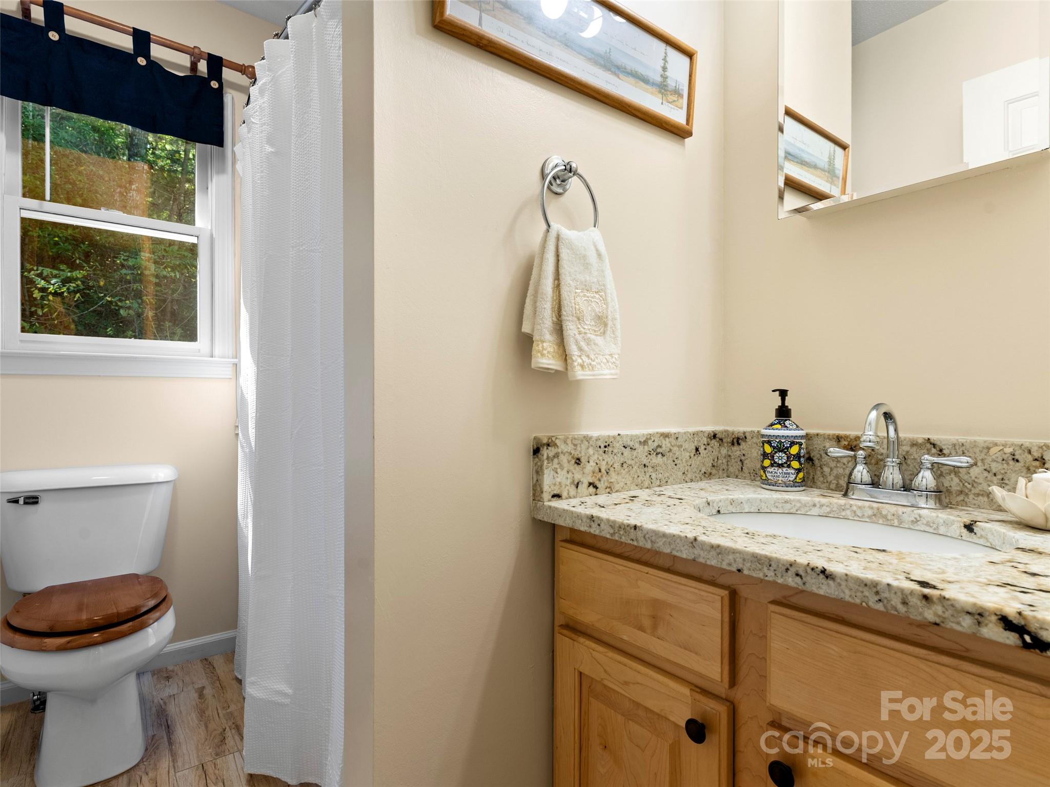 296 Ivy Ridge Circle Sylva, NC 28779 - Photo 20 of 42 a bathroom with a granite countertop sink a toilet and a mirror