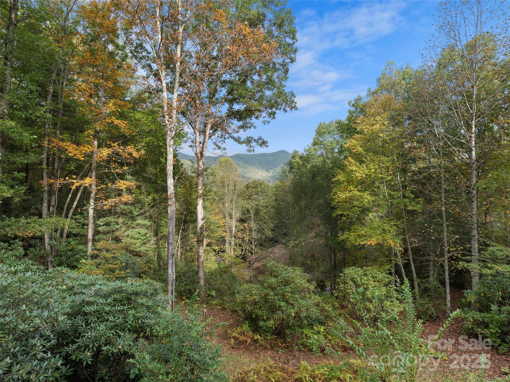 296 Ivy Ridge Circle Sylva, NC 28779 - Photo 39 of 42 a view of a forest