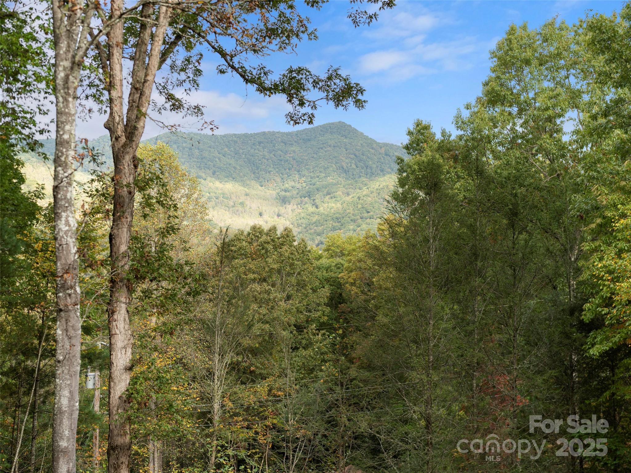 296 Ivy Ridge Circle Sylva, NC 28779 - Photo 42 of 42 a view of outdoor space and yard