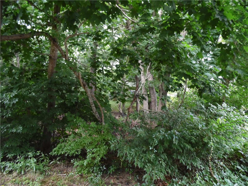 3 White Street Westerly, RI 02891 - Photo 2 of 2 Gallery Image 2