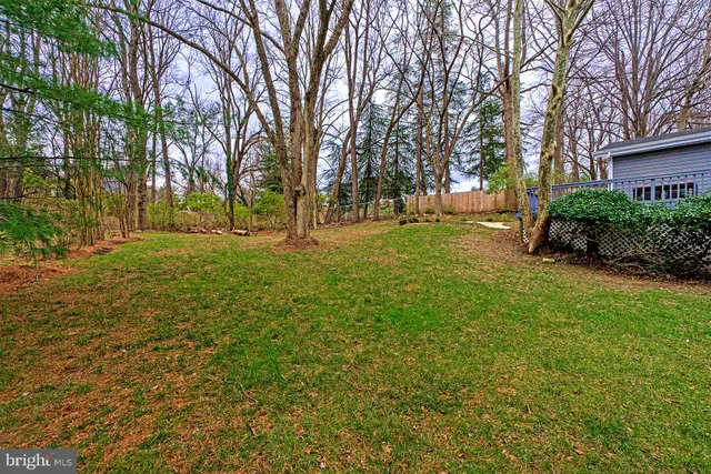 a view of a yard with plants and trees