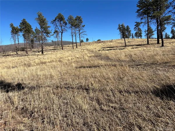 $17,900 | 0 Hart Lane, Fort Garland, CO 81133