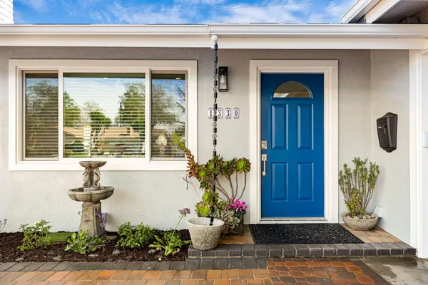 a potted plant sitting in front of a door