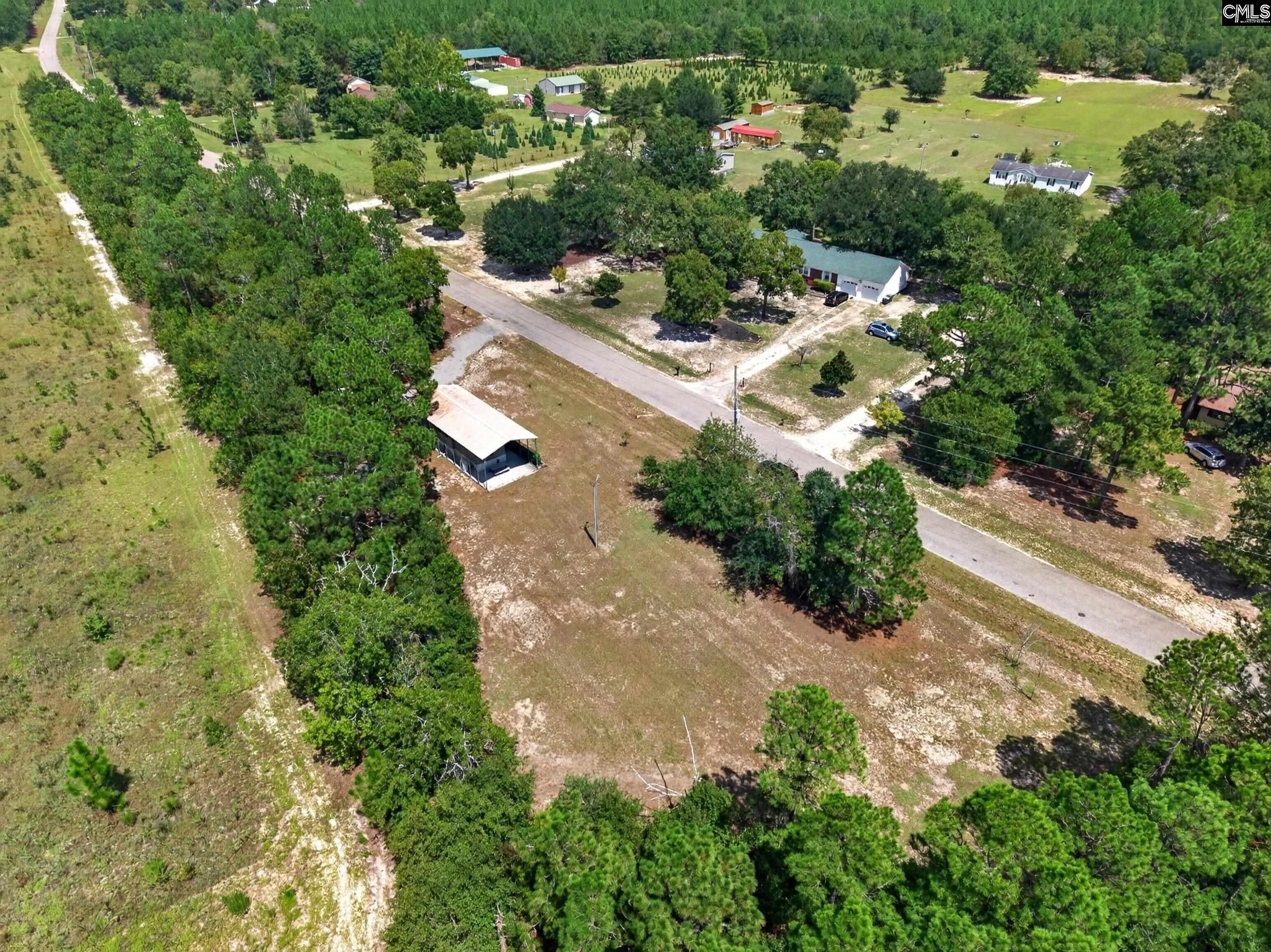 421 Pat Road Lexington, SC 29073 - Photo 8 of 30 Gallery Image 8