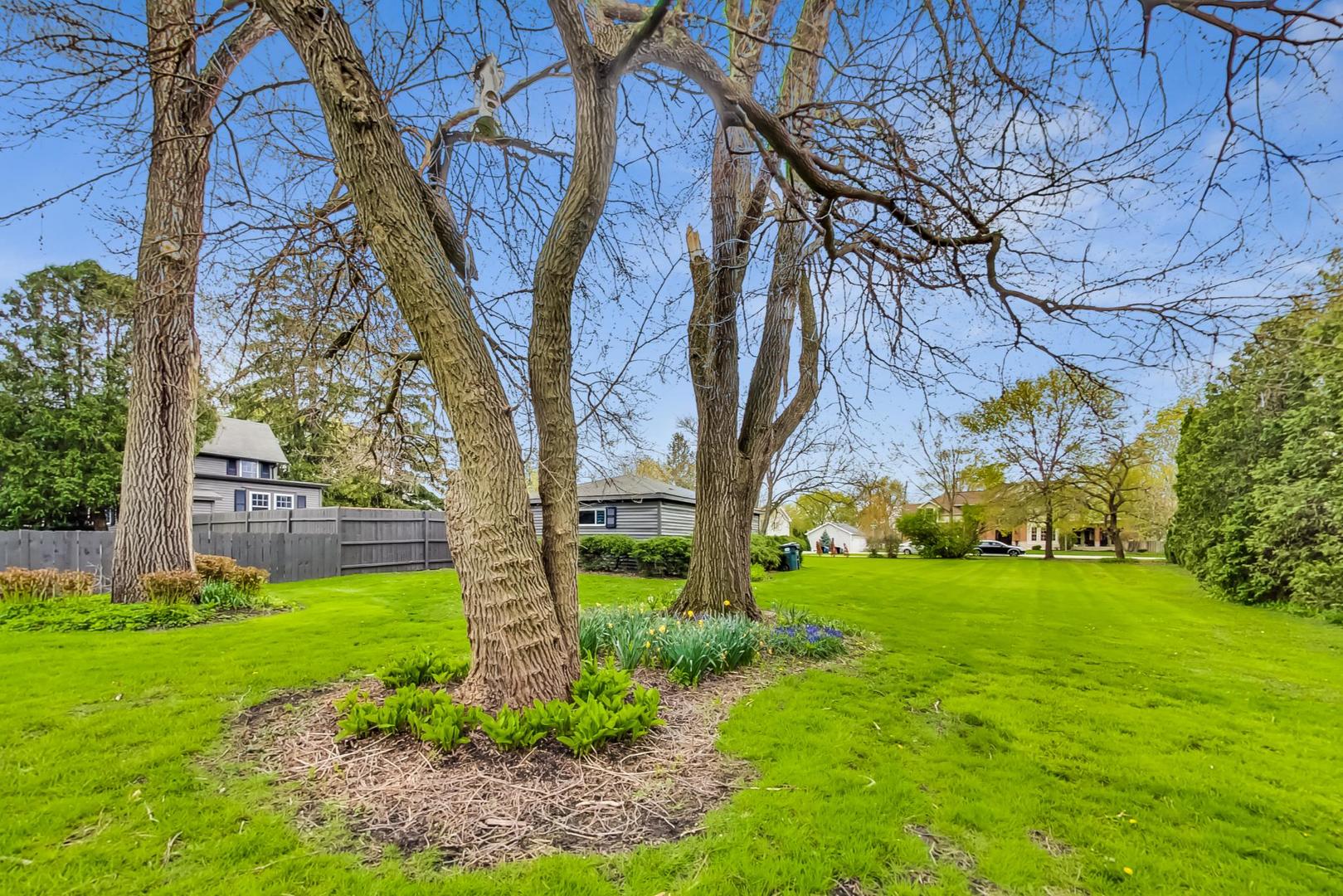 20792 Illinois Rte 59 Barrington, IL 60010 - Photo 32 of 35 a view of a backyard with large trees