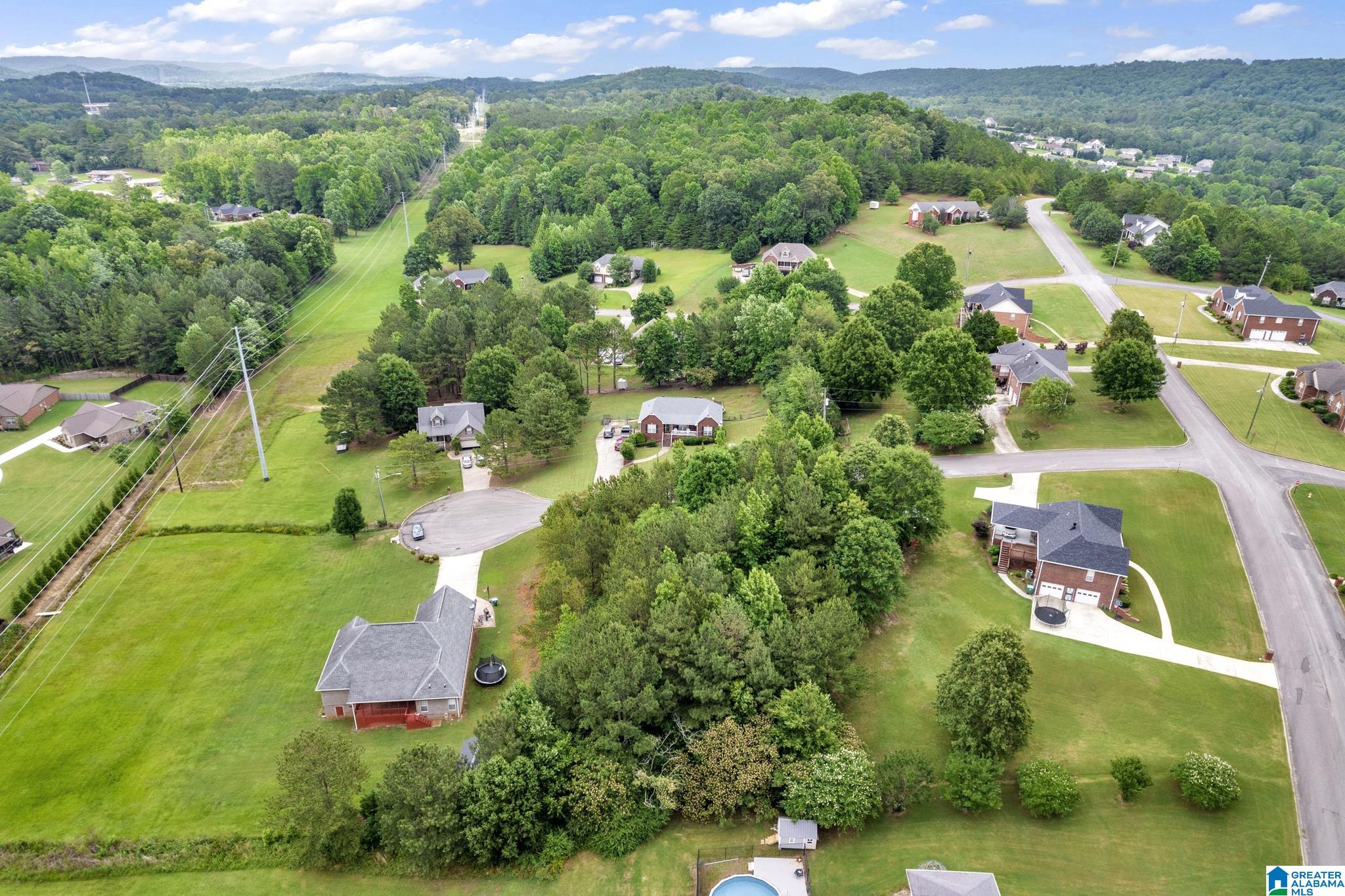 0 Valley View Lane, Unit 1 Oneonta, AL 35121 - Photo 5 of 13