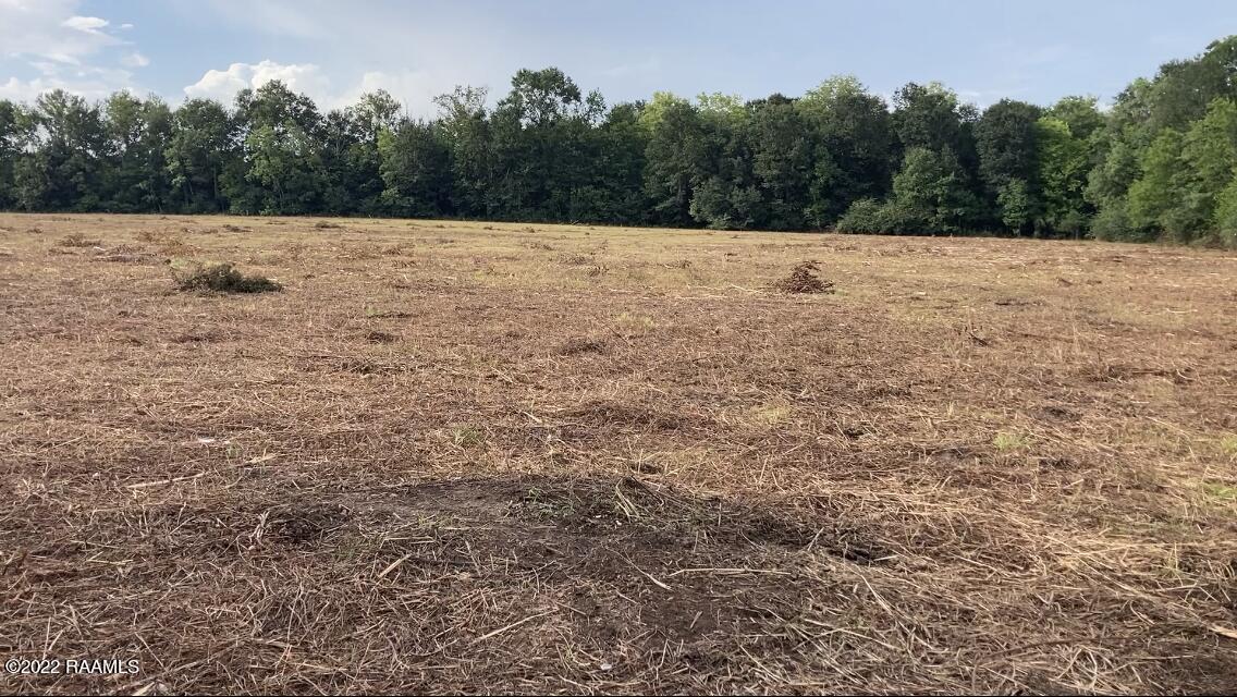 View from Driveway Culvert