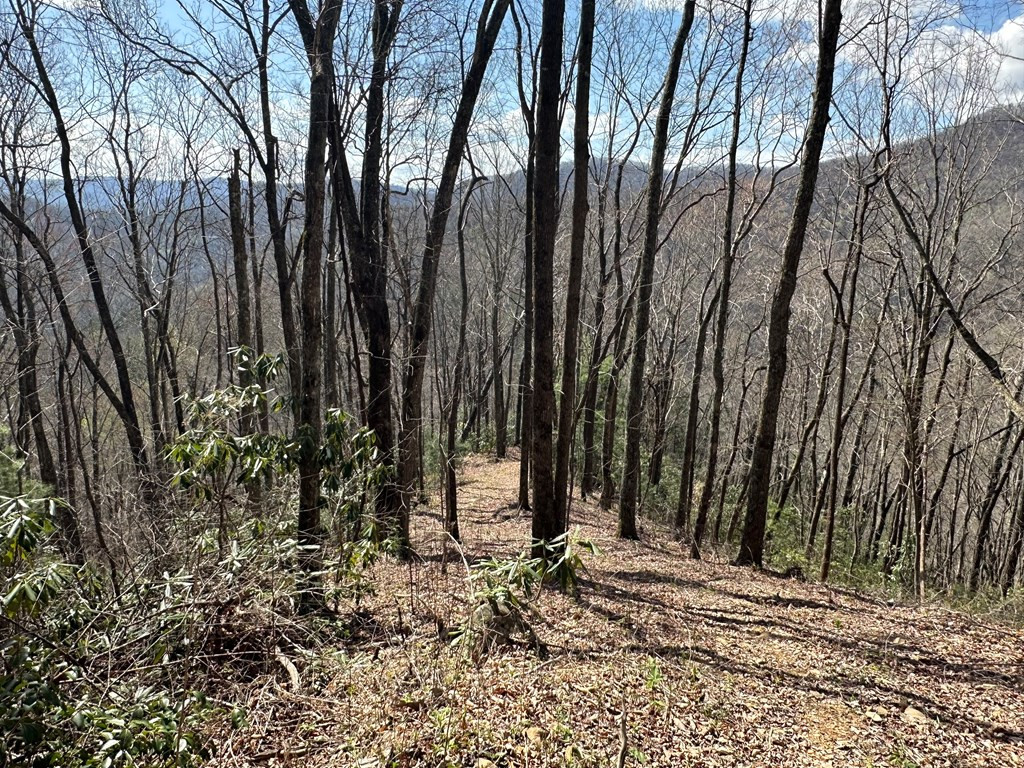 Lot 5 Huffman Creek Road Robbinsville, NC 28771 - Photo 9 of 13