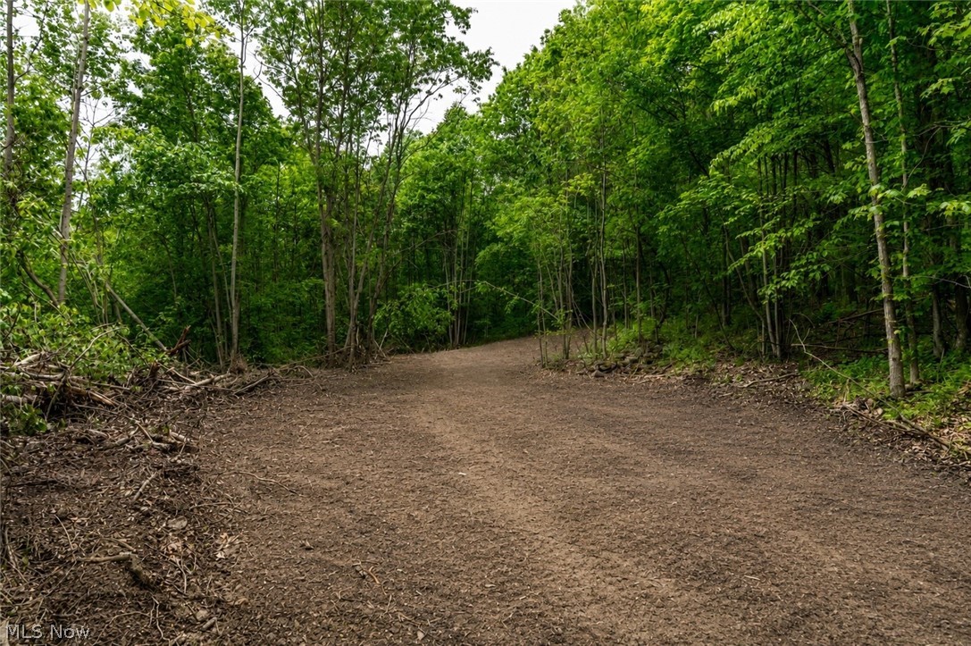 0 Prider Road Kimbolton, OH 43749 - Photo 20 of 23 Food Plot #2