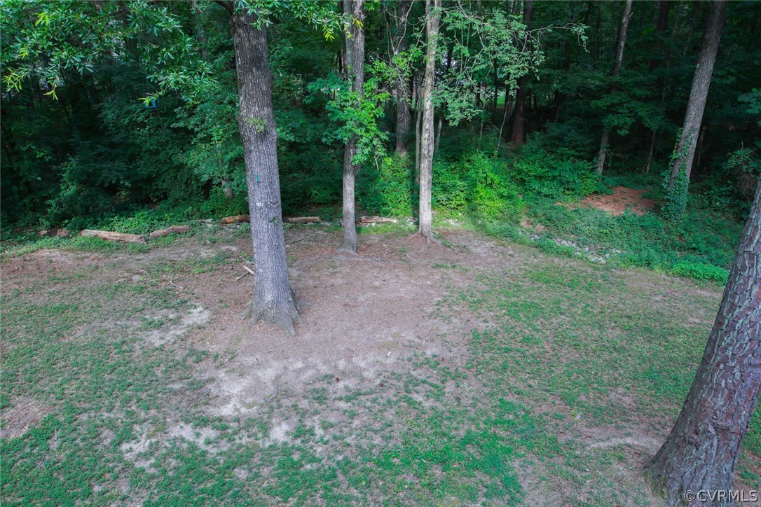 3003 Cove Ridge Road Midlothian, VA 23112 - Photo 28 of 33 a view of a yard with trees in the background