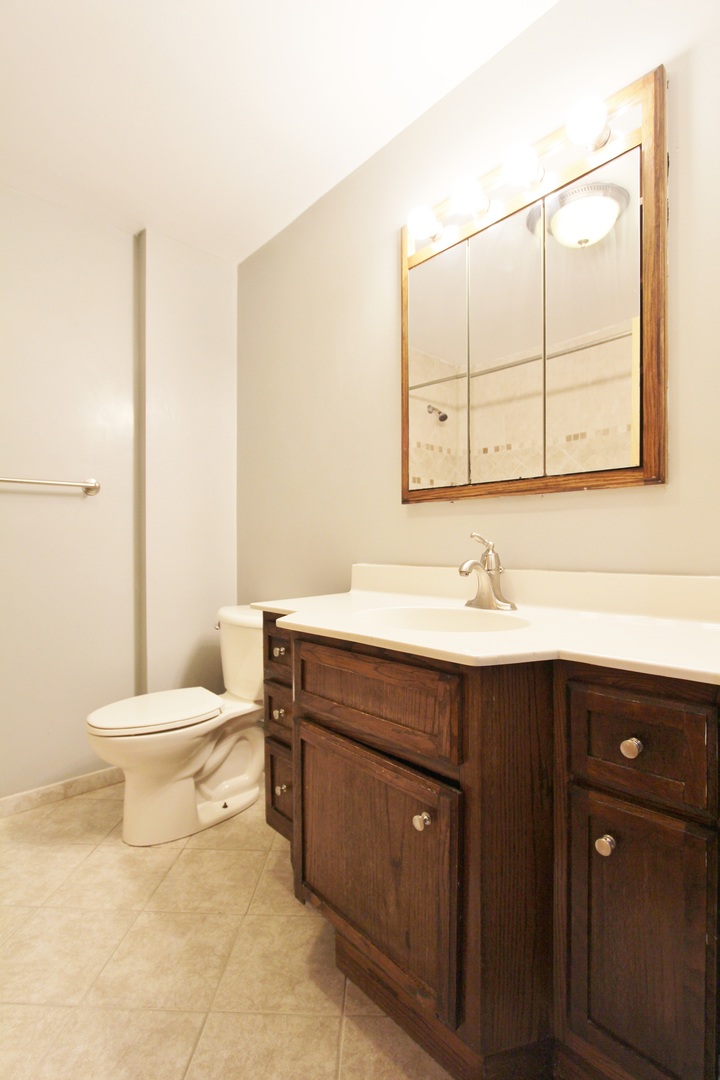 1222 Susan Circle Morris, IL 60450 - Photo 10 of 31 a bathroom with a sink and a toilet