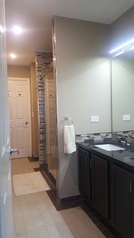 442 Holiday Lane, Unit 402 Round Lake, IL 60073 - Photo 11 of 17 a bathroom with double vanity and a shower