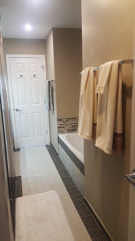 442 Holiday Lane, Unit 402 Round Lake, IL 60073 - Photo 13 of 17 a bathroom with a bathtub and a shower