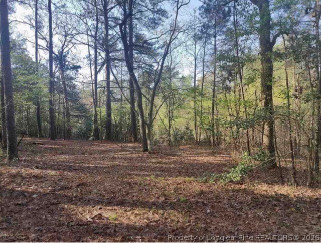 6245 Cliffdale Road Fayetteville, NC 28314 - Photo 5 of 11 a view of a yard with trees