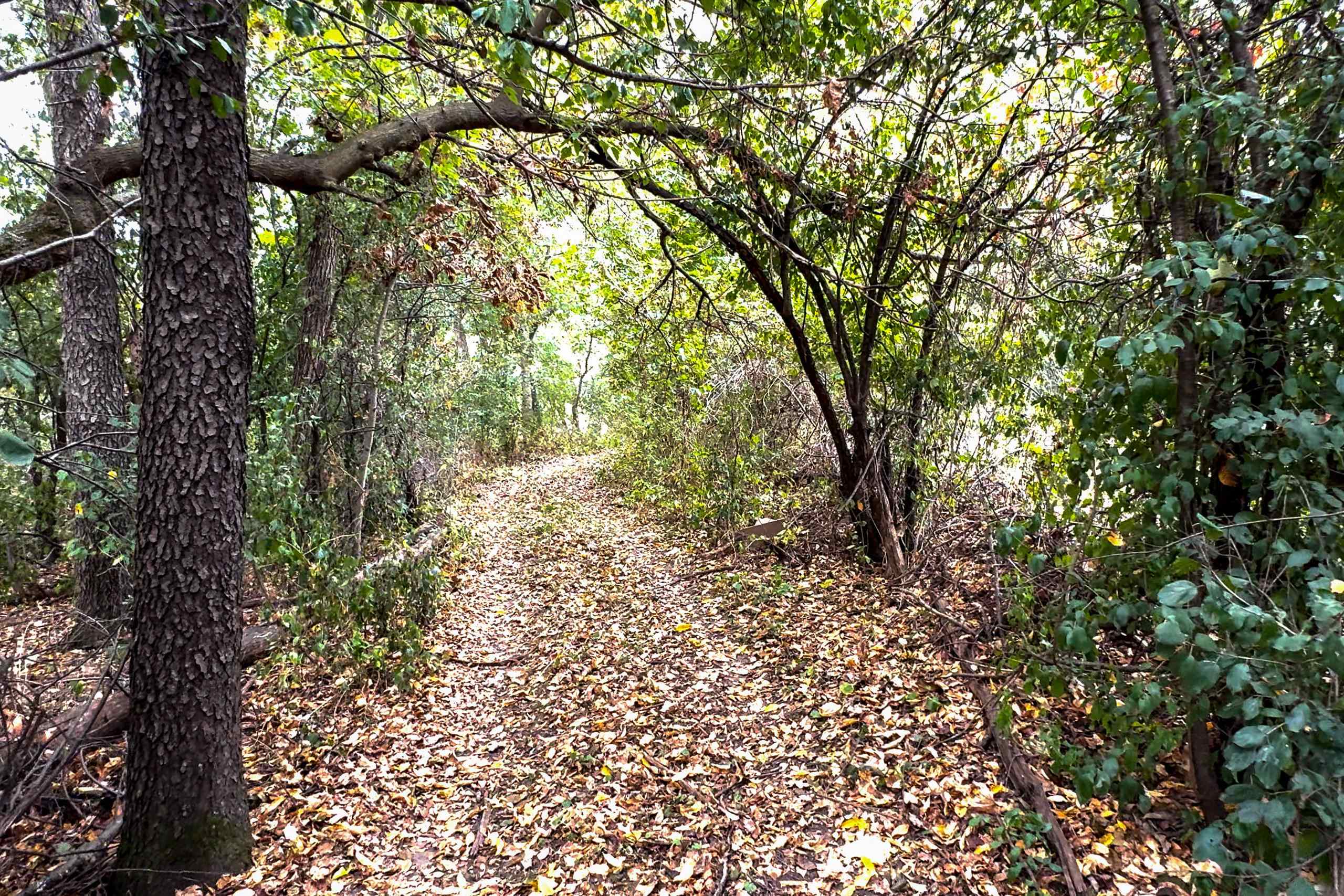 1021 Prairie Queen Road Cambridge, WI 53523 - Photo 78 of 90