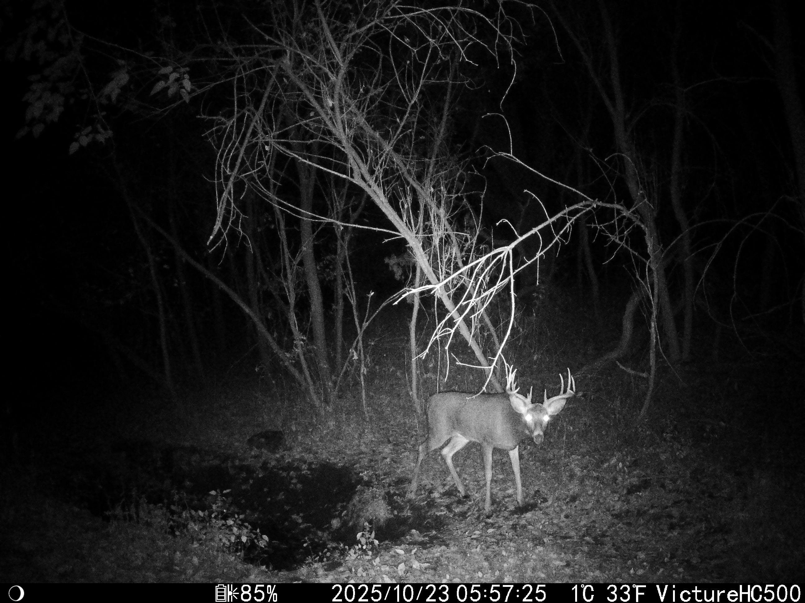 1021 Prairie Queen Road Cambridge, WI 53523 - Photo 79 of 90