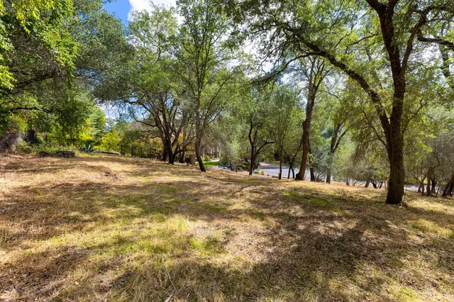 a view of open space with trees