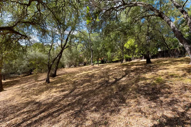 a view of dirt field with trees in the background
